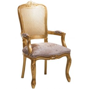 Cadeira Luis XV II Entalhada com Braço e Encosto em Tela - Dourada + Cores